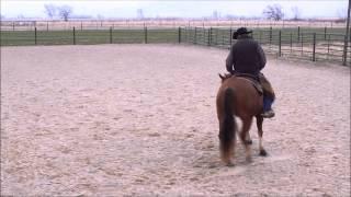 Ranch Sorting Fundamentals - Reins - Training Drill 1