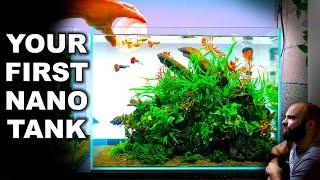 How To Make An Easy Yet Beautiful Nano Aquarium