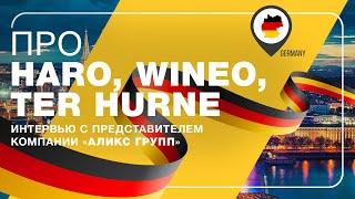 Про HARO, WINEO, Ter hurne | ПОЛЫ 24