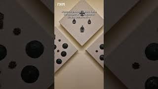 Проект Исторического музея «Клады. Сокрытая история» посвящен древним сокровищам