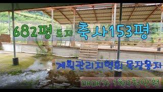 신원TV] 부여읍 외곽의 목장용지 / 부여군토지/부여부동산/부여축사/부여군축사/계획관리지역/부여토지/부여땅/부여토지/상금리/부여창고/부여읍창고/부여군창고/부여읍외곽토지