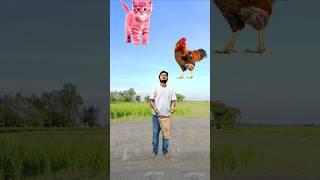 Flying domestic animals catching vs crying babies vs fat dog & lizard - Funny vfx magic