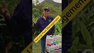 Are You Fighting Farming Pests the Wrong Way?