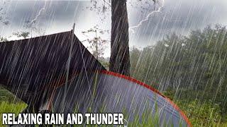 Camping in heavy rain and thunder - Solo Camping in the rain in a tropical forest