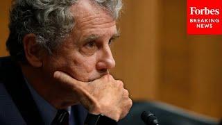 Sherrod Brown Questions Witnesses About Why Young Adults Find Housing Unaffordable