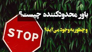 باور محدودکننده: نحوه به وجود آمدن باور محدودکننده و اثرات سمی آن‌ها بر زندگی