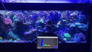 Reef 750l , equipment and lighting setup. комплектация и настройка света.