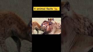 Discover 4 Incredible Animal Facts in 60 Seconds #shorts #youtubeshorts #ytshorts #facts #shortvideo