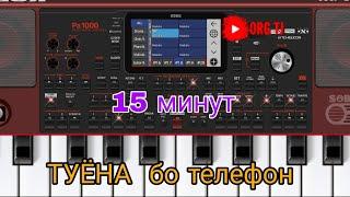 15 Минут "ТУЁНА" бо телефон org2024 #korg #org2024 #tuyona #туёна #втренде