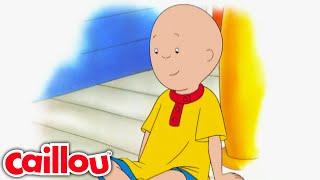 Le petit oiseau | Caillou Français - WildBrain | Apprentissage pour les enfants