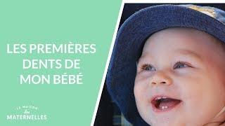 Les premières dents de mon bébé - La Maison des maternelles #LMDM