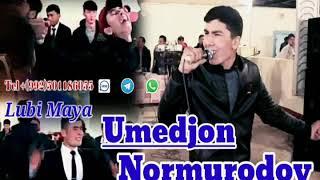 Umedjon Normurodov Lubi maya Умеджон Нормуродов Луби Мая