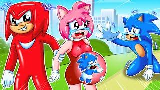 Noo, Please Don't Leave Sonic Alone!! - Very Sad Love Story - Sonic the Hedgehog 3 Animation