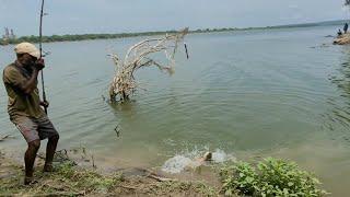 Fisherman Hunting & Catching Big Rohu Fishes in River|Big Rohu fishes Catching With Single hook