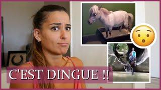 COMMENT C'EST POSSIBLE QU'UN PONEY FASSE CA ?! 