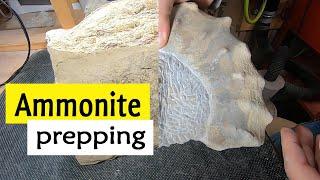 Ammonite fossil mold prep - part 1