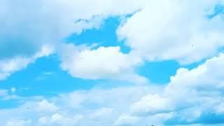 The blue badal