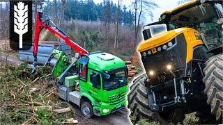 Wood chipper cleans up the forest | Heizohack JCB Fastrac | Bergmann Tridem | Agrarvideos Schwaben