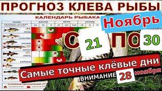 Прогноз клева рыбы на Эту неделю с 21 по 30 ноября 2024  Лунный Календарь рыбака