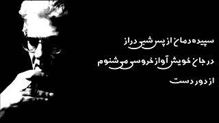 سکوت سرشار از ناگفته هاست- مارگورت بیگل / مترجم و صدا - احمد شاملو #شاملو #شعر #معاصر #فارسی #poem