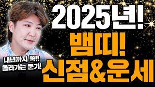 2025년 을사년! 뱀띠 운세! 내년까지 운세가 계속 상승한다!!!? 백호도령