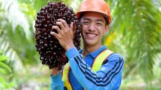 Smallholders: The Heart of Sustainable Palm Oil