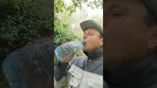 Трутневый гомогенат полезный продукт, ешьте и будьте здоровы!!!