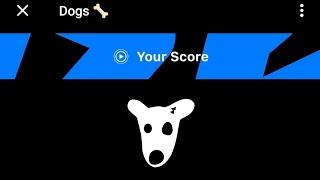 Dogs collection // Telegram // Points earn // link