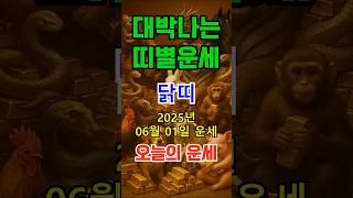 [오늘의 운세] 2025년 6월 1일 (일) 닭띠 운세 #shorts