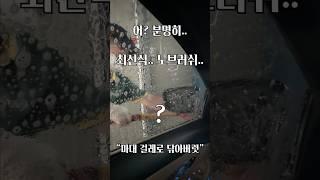 최신식 "노브러쉬" 기계 세차 (주의사항 및 이용방법)