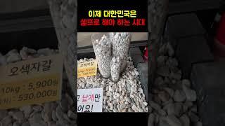 1톤에 39만원? 10년간 수입하고 처음 있는 저렴한 가격!