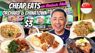 Singapore on a Budget!  Cheap Meals at CHINATOWN & ORCHARD STREET SINGAPORE!