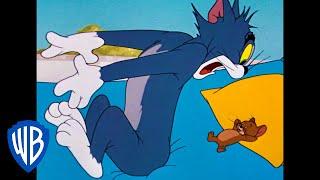 Tom & Jerry | To Nap or Not To Nap | Classic Cartoon | WB Kids