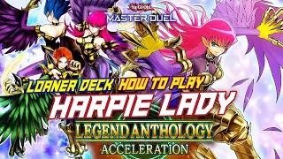 MASTER DUEL - HOW TO PLAY? - LOANER DECK HARPIE LADY NEW EVENT LEGEND ANTHOLOGY: ACCELERATION