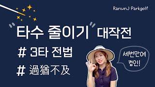 [3타 전법] 파크골프 타수 줄이기 대작전 !