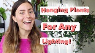 Low Light Hanging Plants! | Hanging Houseplants For All Home Lighting!