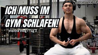 Ich muss ich GYM schlafen! I Push & Lats Training I Road To Pro Offseason