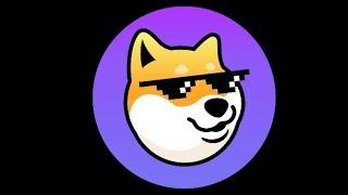 Dogechain stimmt etwas nicht?