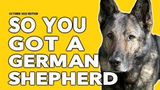 So You Got a German Shepherd - Tips and Dog Training Advice for Owners of German Shepherd Dogs