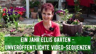 Ein Jahr Ellis Garten - unveröffentlichte Videosequenzen