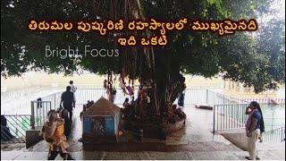 Tirumala Srivari Pushkarini Vatavruksham | Om Namo Venkatesaya | Tirumala