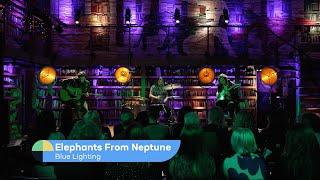 Elephants From Neptune – Blue Lightning („Inspira Unplugged“)