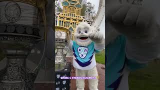 Флекс с Кубком Гагарина  #кубокгагарина #кхл #хоккей #ярославль