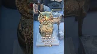  Owls of Wisdom & Wealth at the Flea Market – Magical Finds in Tournai, Belgium  #subscribe
