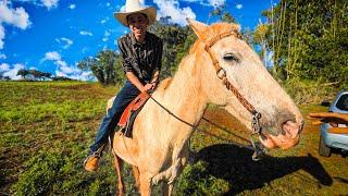 AGORA VAI DAR CERTO COMPREI UM CAVALO PARA CONQUISTAR A BALALAIKA!! 