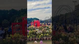 Beautiful flower in jilani park lahore #flowers #naturelovers #garden#viral video