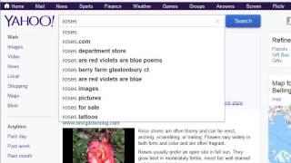 What is the difference between an address bar and search bar