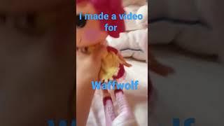 i made a video for wafflewolf