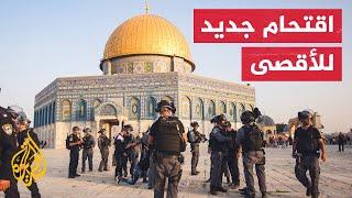 شاهد | قوات الاحتلال والمستوطنون يجددون اقتحام المسجد الأقصى