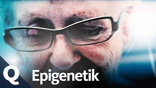 Epigenetik: Neue Hoffnung für Krebs Patienten | Quarks